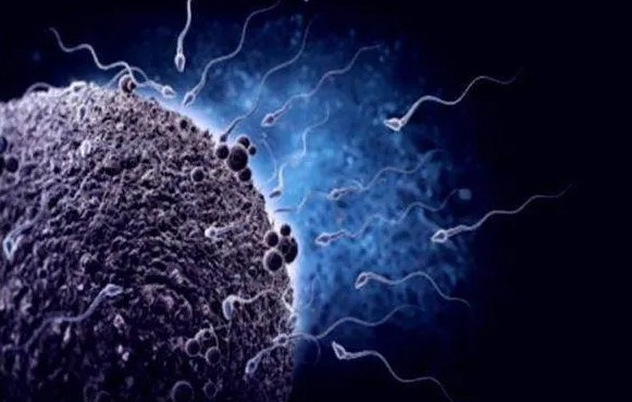 第六屆中國(guó)連鎖節(jié)：為天下連鎖企業(yè)奉獻(xiàn)高質(zhì)量發(fā)展之道