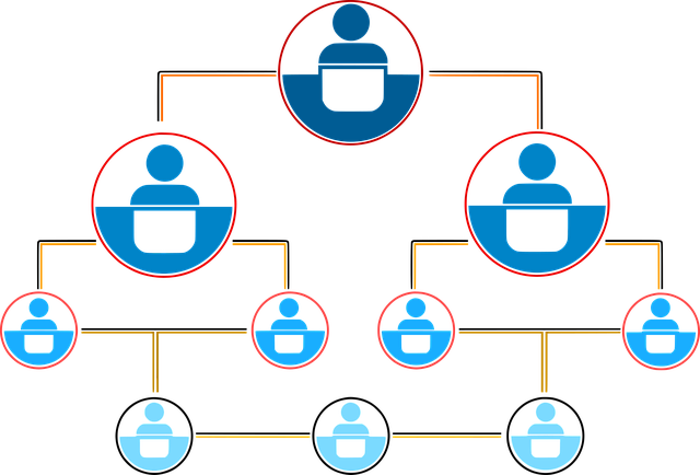 分銷裂變：重構商業(yè)增長邏輯的社交引擎