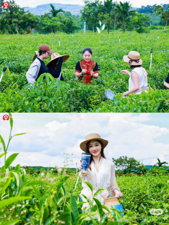 霸王茶姬市值60億美元，中國茶飲赴美第一股誕生！