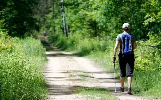 2024新式茶飲品牌突圍：LINLEE如何打造供應(yīng)鏈與IP生態(tài)護(hù)城河