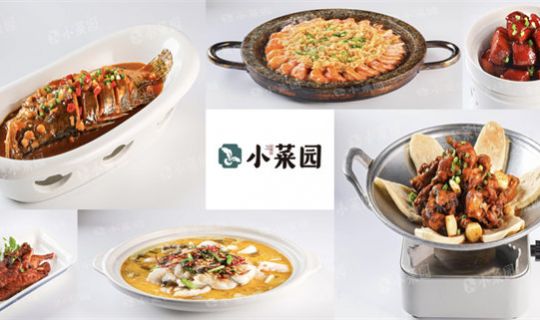 8個(gè)月狂賺4億！小菜園即將上市！